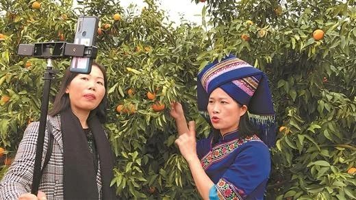 直播已成風口，透視縣長直播案例，我們發現6個操盤秘訣（可復制）