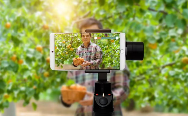 【農產品電商】特色農產品電商實踐操作與案例深度解析