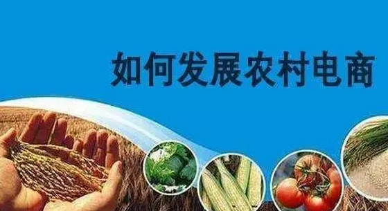 2017年農村電商發展該往哪里走？