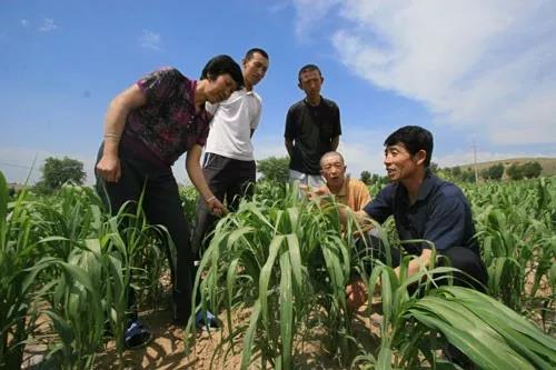 三農日報|我國作物生產機械化發展趨勢；數據：生鮮快消增長潛力巨大