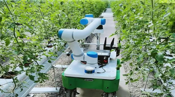 精準農業正當時：農業機器人的創新實踐