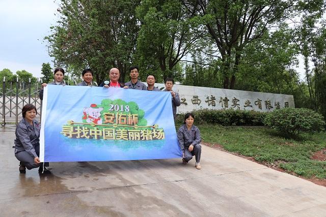 尋找美麗豬場：走豬場第十五站—供港活大豬養殖企業（江西諸信）