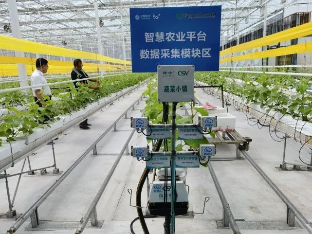 三農日報|政策：支持企業組建聯合育種實體；專家：養豬行業開始虧損