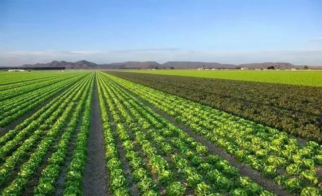 農業產業周報|順鑫農業、隆平高科、國聯水產、海大集團最新動態；本周5例資本事件