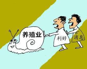 農(nóng)業(yè)補(bǔ)貼 | 養(yǎng)豬有啥補(bǔ)貼政策?未來(lái)五年養(yǎng)殖業(yè)大勢(shì)及機(jī)遇