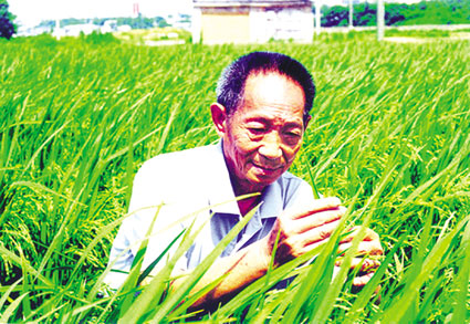 致敬重陽節(jié)！依然奮斗在農(nóng)業(yè)圈的老人：袁隆平、褚時健、姚海根、孫明賢、川崎廣人