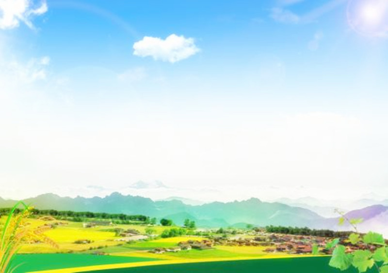 未來(lái)農(nóng)業(yè)也有服務(wù)業(yè)？農(nóng)民不用再為如何種好地問(wèn)題發(fā)愁