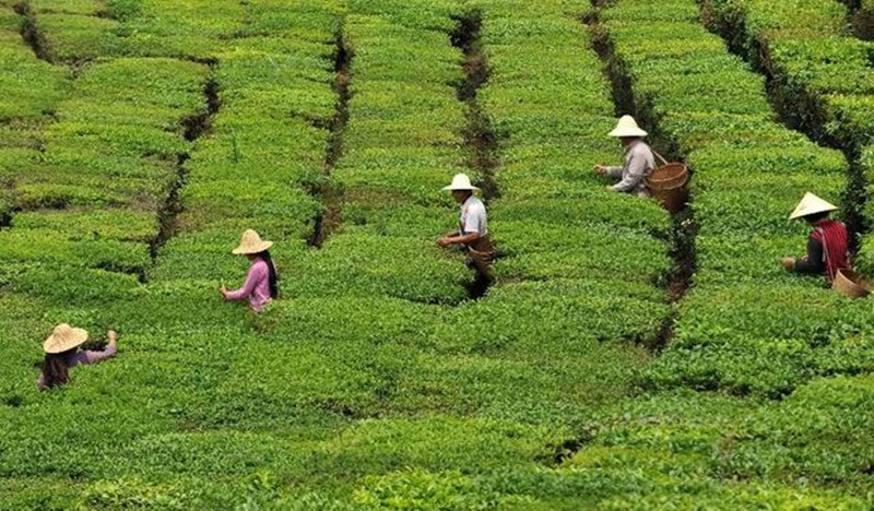 農業最新關于深度貧困地區的六大措施，為農民帶來哪些好處？