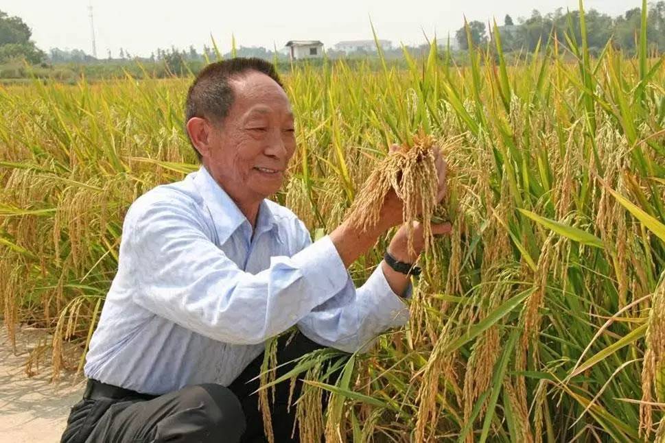 88歲的袁隆平：正年輕！（附2大商業創新）