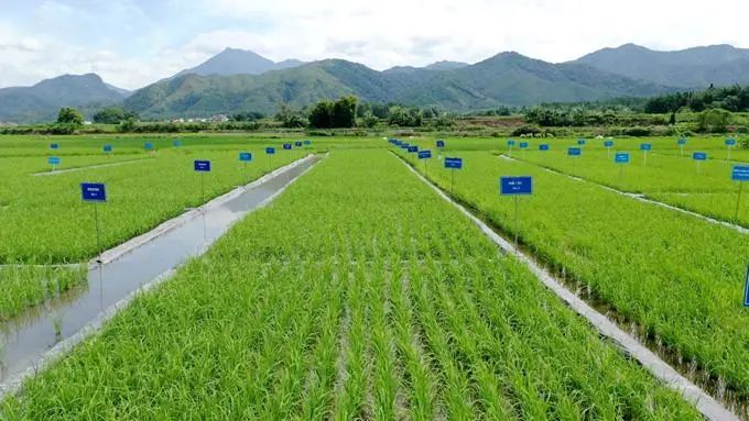 【模式】全國農業綠色發展典型案例發布，綠色農業未來可期!