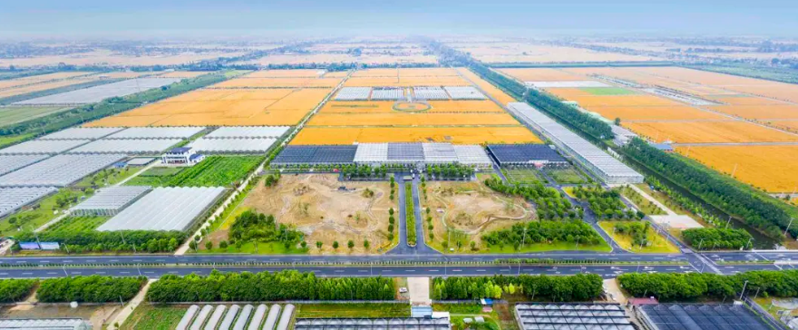 【農業產業園】建議收藏！國家農業現代化示范區項目申報指南