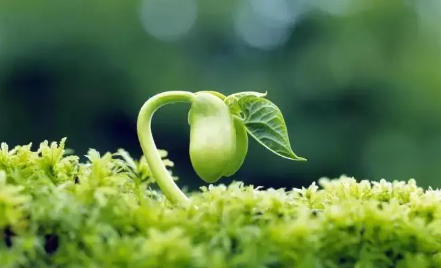 【政策解讀】三中全會重點發(fā)力產(chǎn)業(yè)解讀——八大新興產(chǎn)業(yè)+九大未來產(chǎn)業(yè)