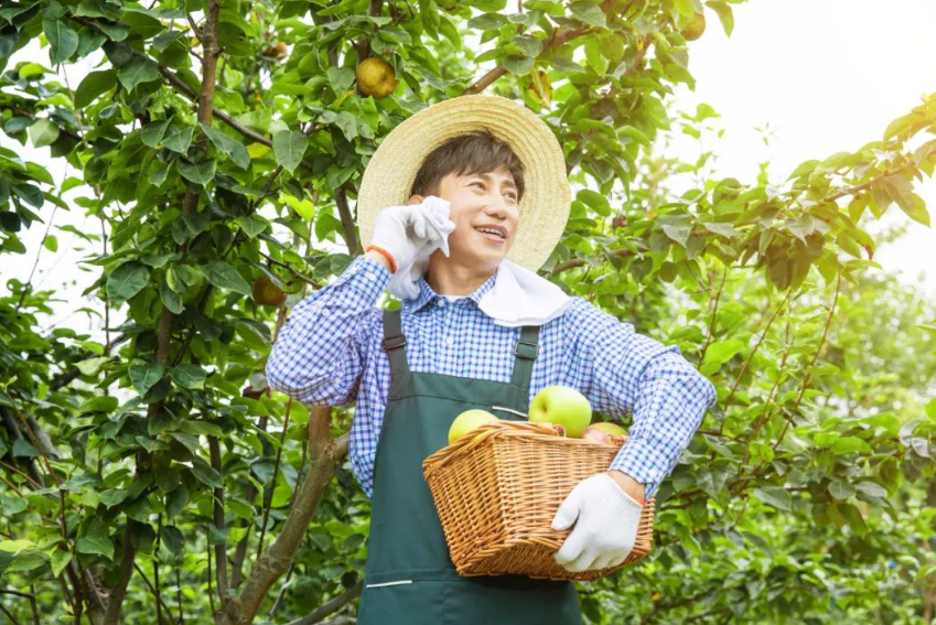 【農(nóng)業(yè)案例】生態(tài)循環(huán)農(nóng)業(yè)的三大模式及運(yùn)營(yíng)案例