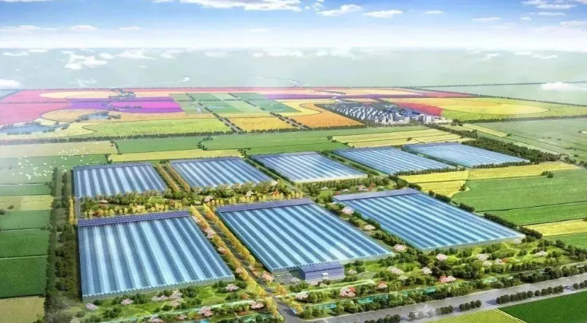 現代農業產業園政策資金配套及案例：國家級1-3億元，省級1000-5000萬