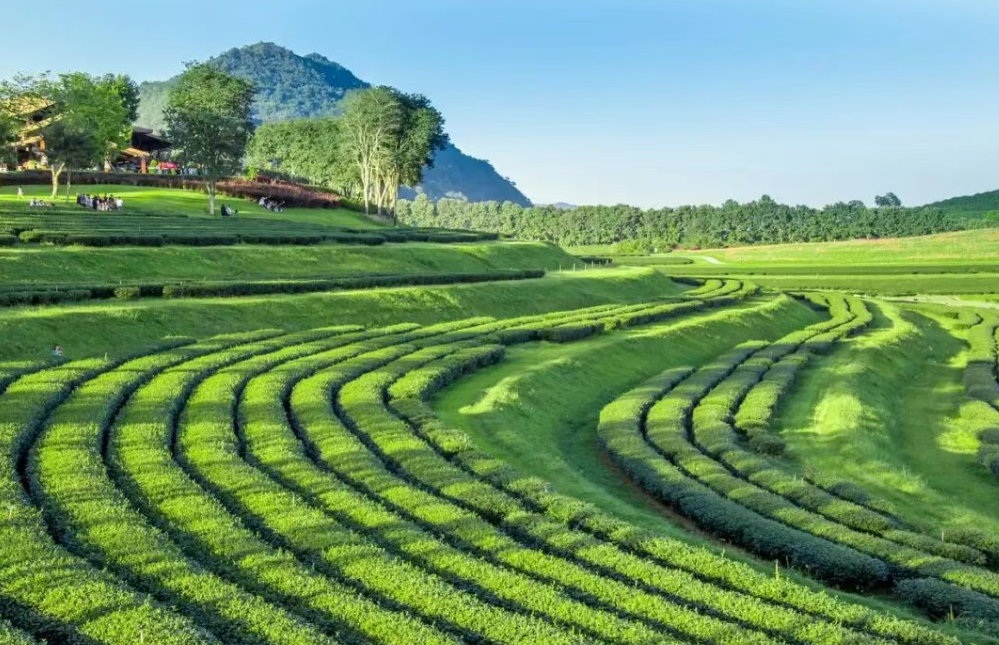 什么是生態農業? “生態循環農業”經典模式有哪些