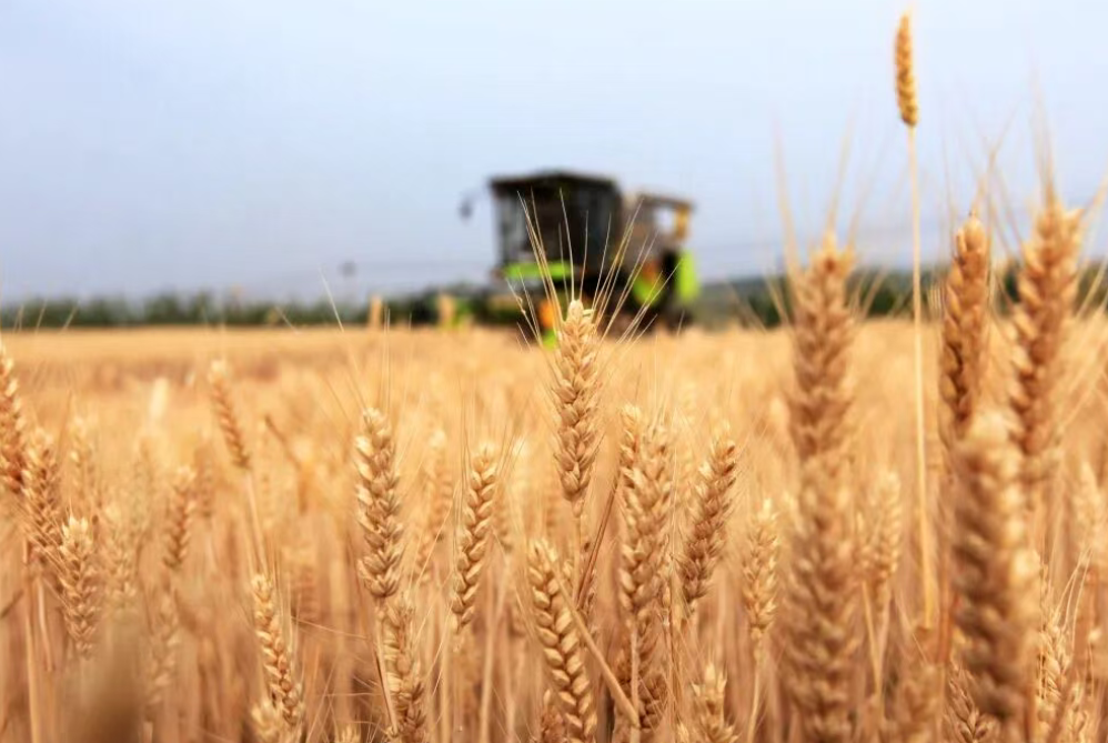 農業農村部等印發重磅文件！加強現代農事綜合服務中心建設