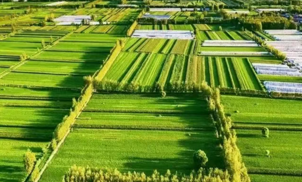 宋洪遠 唐文蘇：中國生態農業政策的演變過程、實施效果與調整優化