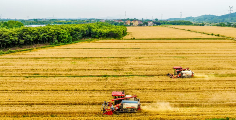 【政策解讀】14個農業重點項目申報指南