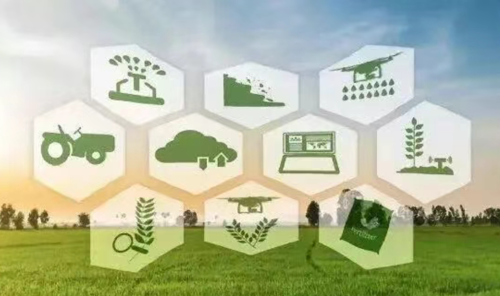 產業透視！農業全產業鏈如何增鏈、強鏈、補鏈？