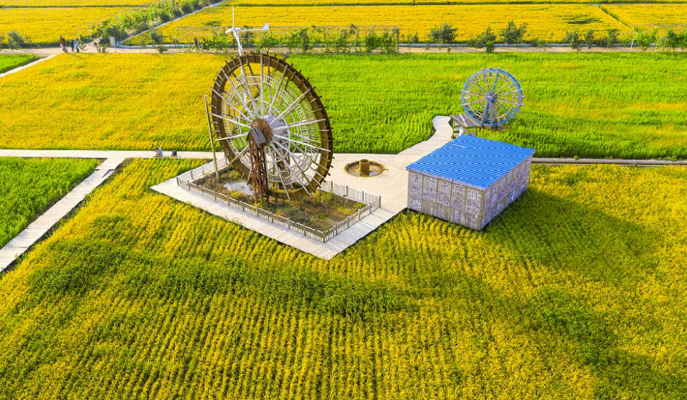 劃重點！《關于加快場景培育和開放推動新場景大規模應用的實施意見》發布