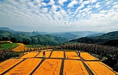 幾年后農村土地的發展趨勢，不能再坐以待斃了！