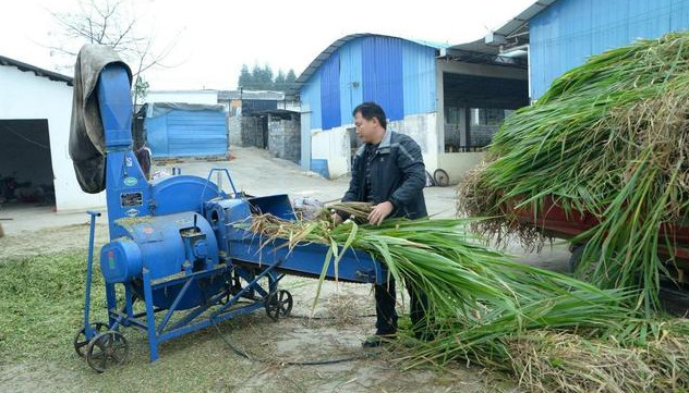 種植業如何跳出失敗怪圈？3條路子送給你，建議收藏