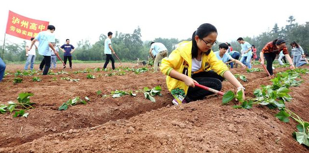 種植業如何跳出失敗怪圈？3條路子送給你，建議收藏