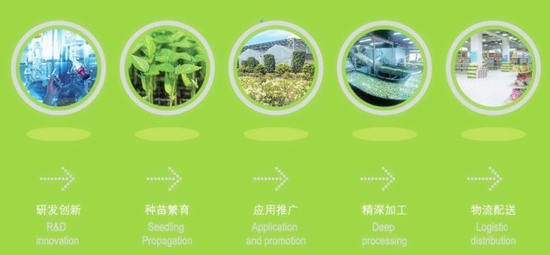 中國經濟報告：農業競爭已到火拼階段，未來加快產業鏈整合、提升中國農業競爭力