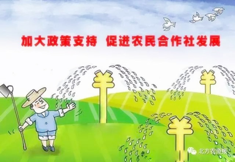 小農生產向現代農業轉變，要走哪條路？