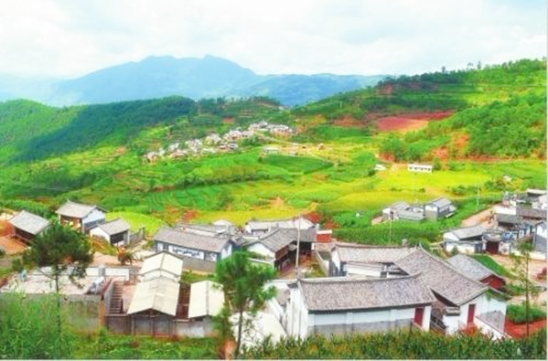 三農日報|農業3大領域補貼最高200萬；農民合作社3大賺錢之道