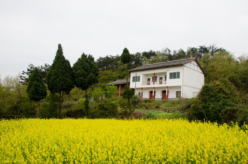 三農日報｜農村土地改革發布4大任務；2018農民合作社300強出爐