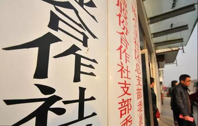 趕超歐美！中國農民合作社迎來巨變...（附5類創新模式）