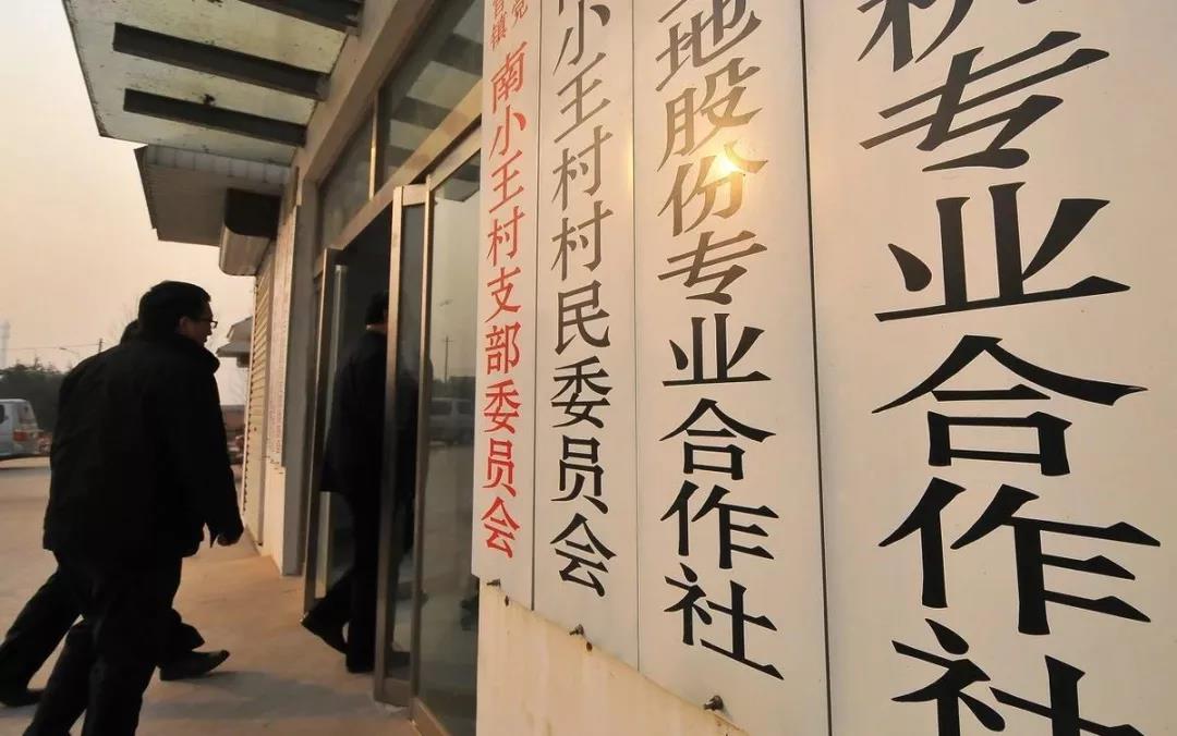 無法容忍！80%以上合作社淪為空殼，2019國家必將重拳打擊
