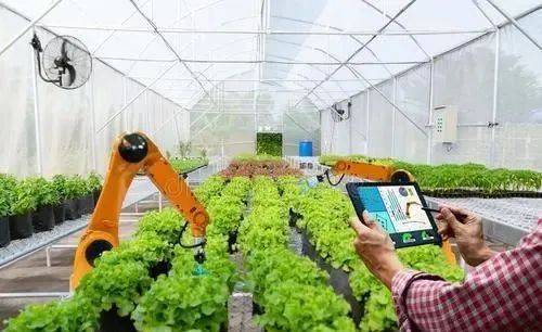 三農日報|政策：支持合作社建設產地加工設施；林果產業成為農民致富支柱產業