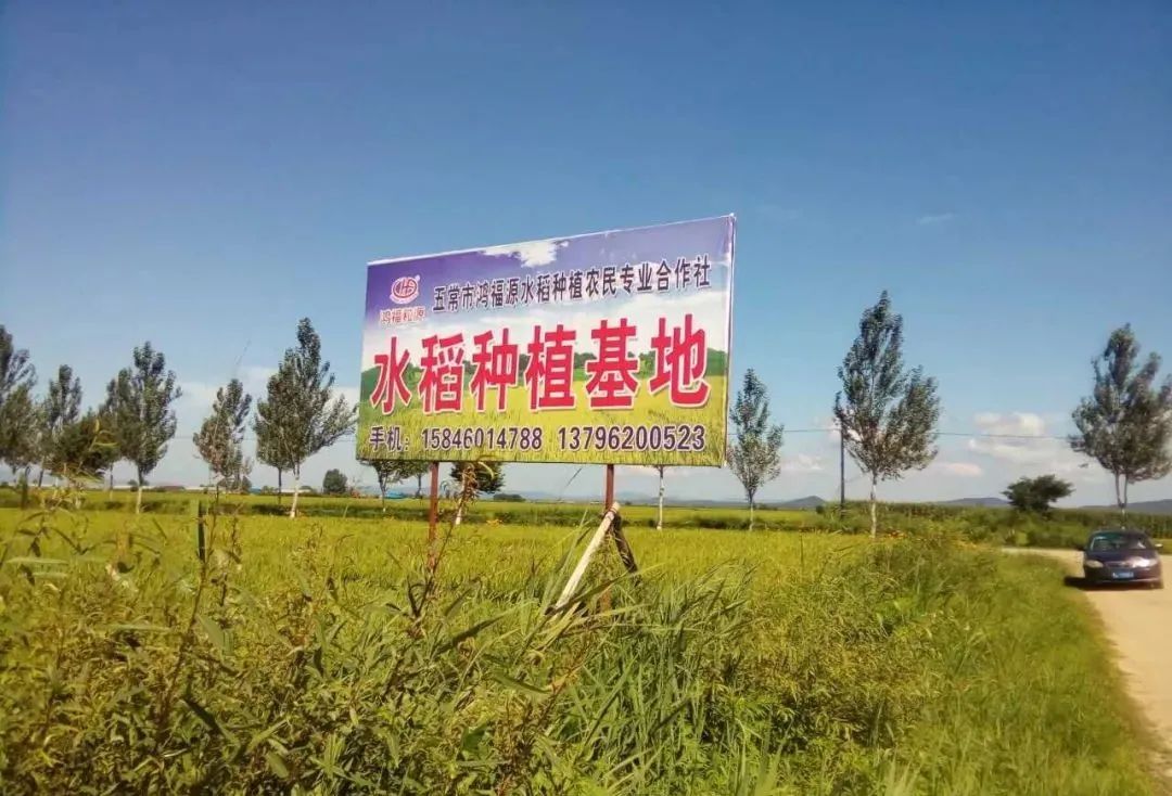 【政策解讀】農業農村部：加大對農民合作社政策支持力度