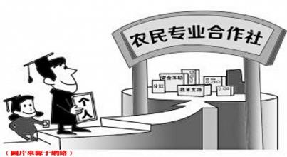國(guó)家對(duì)農(nóng)民專業(yè)合作社有哪些扶持政策？（趕緊收藏）