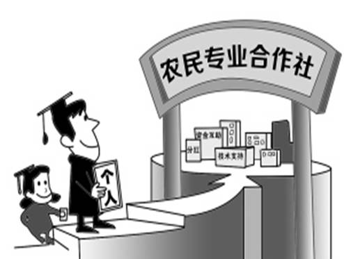 剛起步的合作社如何才能顯得“精”？如何賺到錢？