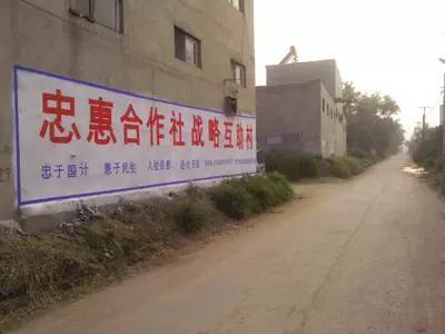 就算是上市的合作社，這些問(wèn)題也是在所難免的！（不知道的進(jìn)來(lái)瞧瞧）