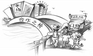 這下關(guān)于農(nóng)民專業(yè)合作社的問(wèn)題都在這啦，想知道啥的來(lái)看！