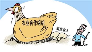 搞農(nóng)民合作社，該如何進行申辦？流程是怎樣的？（這里給你答案）