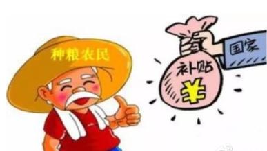 辦合作社的吃香了！明年合作社有這些政策！（趕緊收藏）
