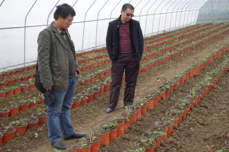 你是否知道什么樣的合作社才能賺錢？