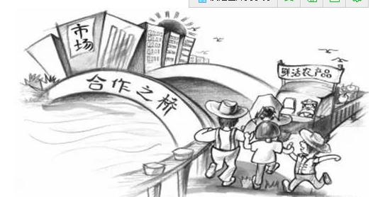 農民合作社難以掙大錢的原因是什么？該何去何從？