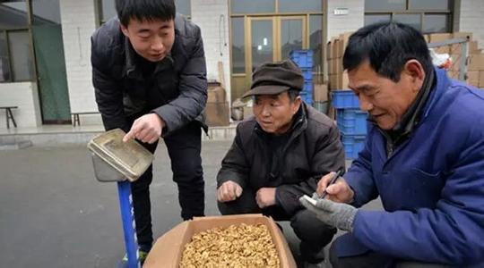 農業部：全國依法登記的農民合作社達174.9萬家