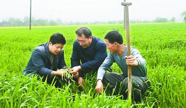 農業種植合作社、農村合作社補貼政策有哪些