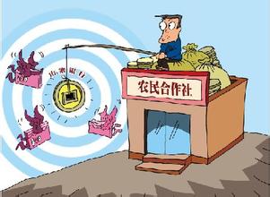 想成立合作社，注冊資金和納稅有關系嗎？