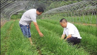 “農民專業合作社”？有哪些特點？