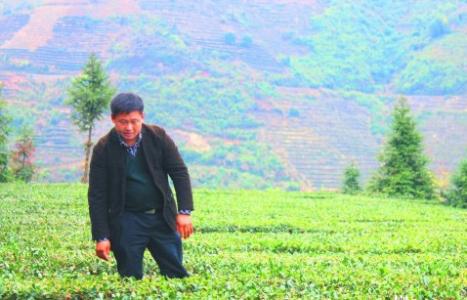 農民合作社跟著政策走，補貼拿到手