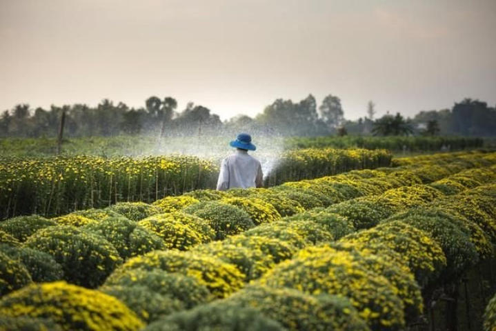 農業物聯網應用詳解：5大案例，4項挑戰