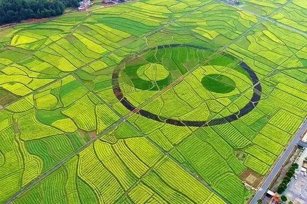 【重磅分析】“農業地產”會是下一個暴利行業？
